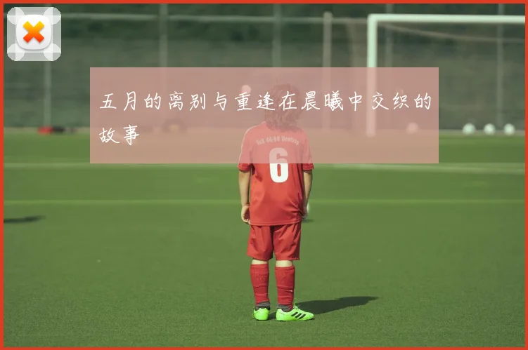 五月的离别与重逢在晨曦中交织的故事
